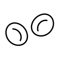 Çıkarılabilir kaplar